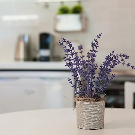 Ktima Fabiatos דירה