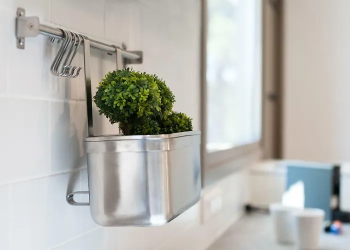 Ktima Fabiatos Skala (Kefalonia)