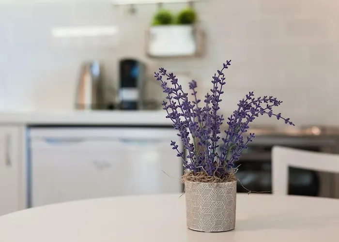 Ktima Fabiatos Apartment